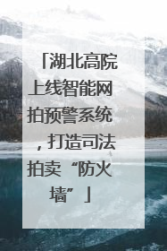 湖北高院上线智能网拍预警系统，打造司法拍卖“防火墙”