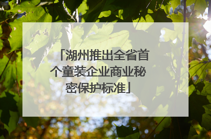 湖州推出全省首个童装企业商业秘密保护标准