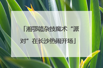 湘鄂赣杂技魔术“派对”在长沙热闹开场