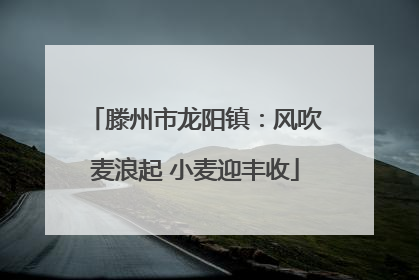 滕州市龙阳镇：风吹麦浪起 小麦迎丰收