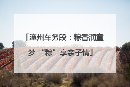漳州车务段：粽香润童梦 “粽”享亲子情