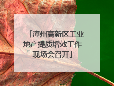 漳州高新区工业地产提质增效工作现场会召开