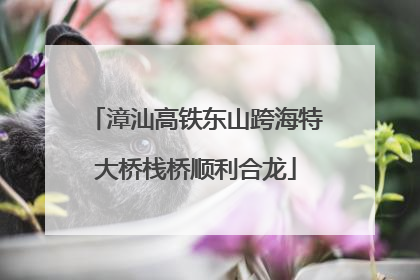 漳汕高铁东山跨海特大桥栈桥顺利合龙