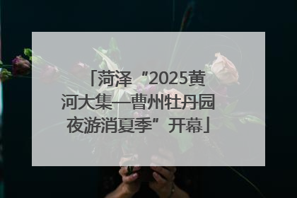 菏泽“2025黄河大集—曹州牡丹园夜游消夏季”开幕