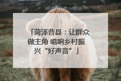 菏泽曹县：让群众做主角 唱响乡村振兴“好声音”