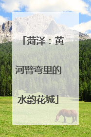 菏泽：黄河臂弯里的水韵花城