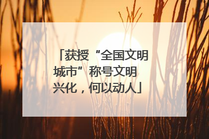 获授“全国文明城市”称号文明 兴化，何以动人
