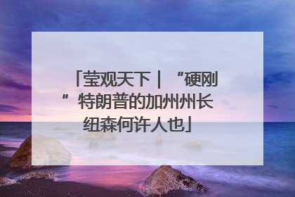莹观天下｜“硬刚”特朗普的加州州长纽森何许人也