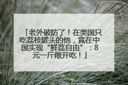 老外破防了！在美国只吃荔枝罐头的他，竟在中国实现“鲜荔自由”：8元一斤敞开吃！
