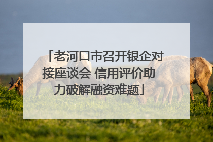 老河口市召开银企对接座谈会 信用评价助力破解融资难题