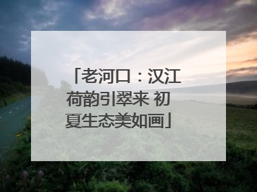 老河口：汉江荷韵引翠来 初夏生态美如画