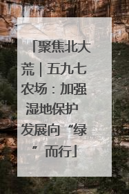 聚焦北大荒｜五九七农场：加强湿地保护 发展向“绿”而行
