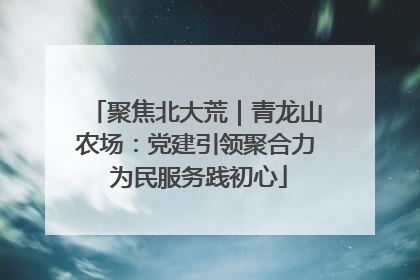 聚焦北大荒｜青龙山农场：党建引领聚合力 为民服务践初心