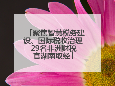 聚焦智慧税务建设、国际税收治理 29名非洲财税官湖南取经