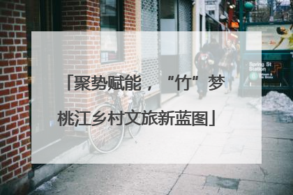 聚势赋能，“竹”梦桃江乡村文旅新蓝图