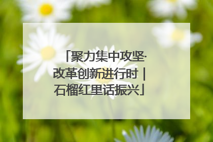 聚力集中攻坚·改革创新进行时｜石榴红里话振兴