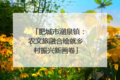 肥城市潮泉镇：农文旅融合绘就乡村振兴新画卷
