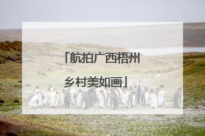 航拍广西梧州乡村美如画