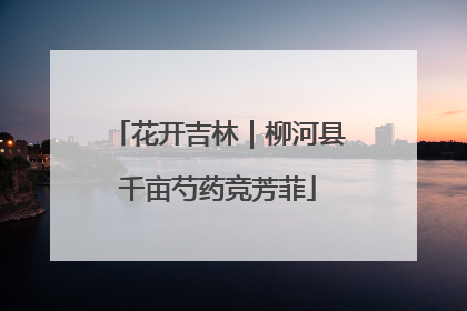 花开吉林｜柳河县千亩芍药竞芳菲