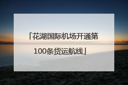 花湖国际机场开通第100条货运航线