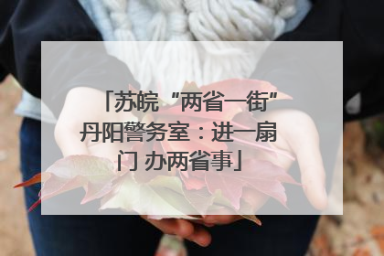 苏皖“两省一街”丹阳警务室：进一扇门 办两省事