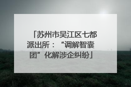 苏州市吴江区七都派出所：“调解智囊团”化解涉企纠纷