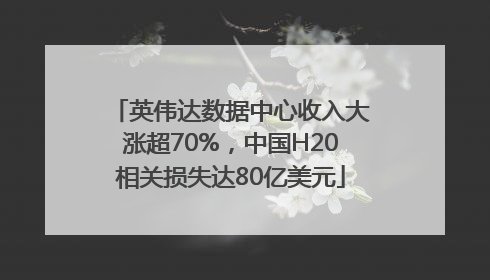 英伟达数据中心收入大涨超70%，中国H20相关损失达80亿美元