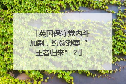英国保守党内斗加剧，约翰逊要“王者归来”？