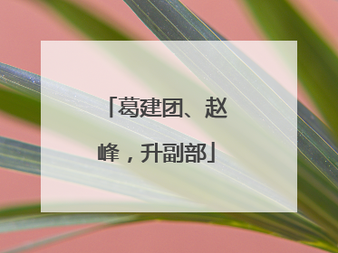 葛建团、赵峰，升副部