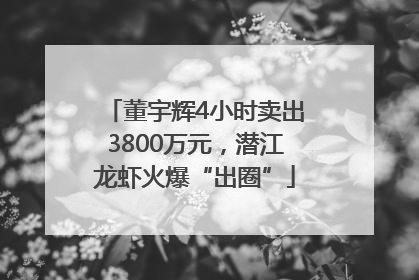 董宇辉4小时卖出3800万元，潜江龙虾火爆“出圈”