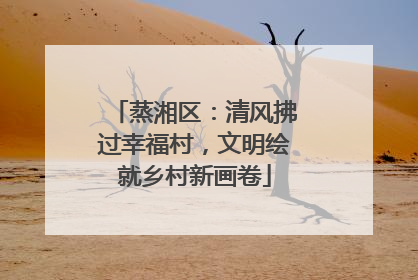 蒸湘区：清风拂过幸福村，文明绘就乡村新画卷