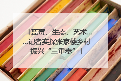 蓝莓、生态、艺术……记者实探张家楼乡村振兴“三重奏”