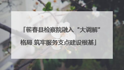 蕲春县检察院融入“大调解”格局 筑牢服务支点建设根基