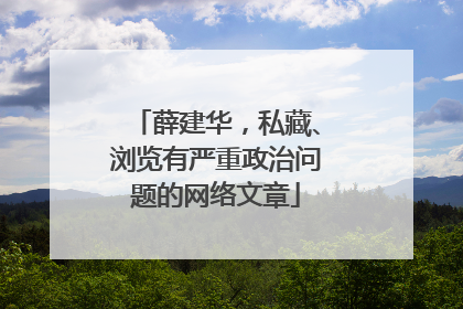 薛建华，私藏、浏览有严重政治问题的网络文章