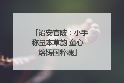 诏安官陂：小手称量本草韵 童心熔铸国粹魂