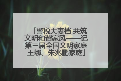 警税夫妻档 共筑文明和谐家风——记第三届全国文明家庭王娜、朱兆鹏家庭