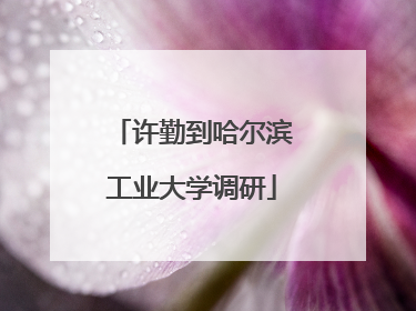 许勤到哈尔滨工业大学调研
