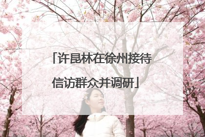 许昆林在徐州接待信访群众并调研
