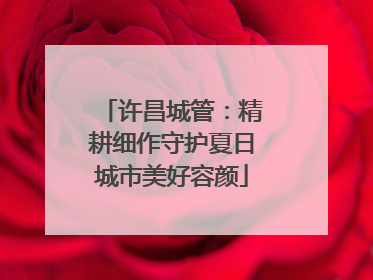 许昌城管：精耕细作守护夏日城市美好容颜