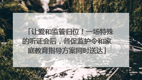 让爱和监管归位！一场特殊的听证会后，督促监护令和家庭教育指导方案同时送达