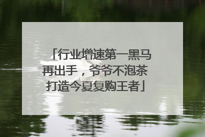 行业增速第一黑马再出手，爷爷不泡茶打造今夏复购王者