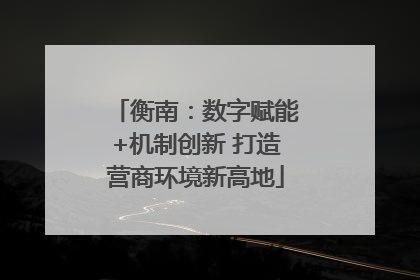 衡南：数字赋能+机制创新 打造营商环境新高地