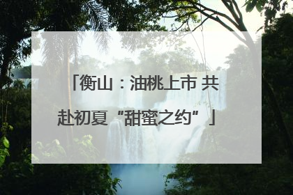 衡山：油桃上市 共赴初夏“甜蜜之约”