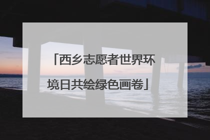 西乡志愿者世界环境日共绘绿色画卷