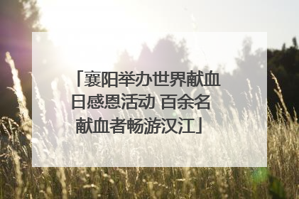 襄阳举办世界献血日感恩活动 百余名献血者畅游汉江