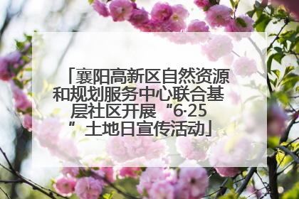 襄阳高新区自然资源和规划服务中心联合基层社区开展“6·25”土地日宣传活动