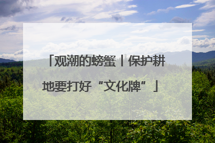 观潮的螃蟹丨保护耕地要打好“文化牌”