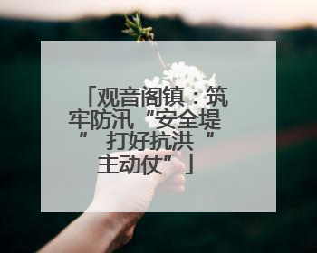 观音阁镇：筑牢防汛“安全堤” 打好抗洪“主动仗”