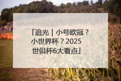追光｜小号欧冠？小世界杯？2025世俱杯6大看点