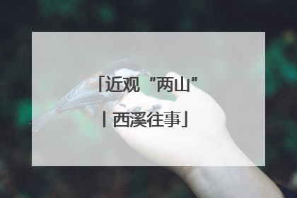 近观“两山”丨西溪往事